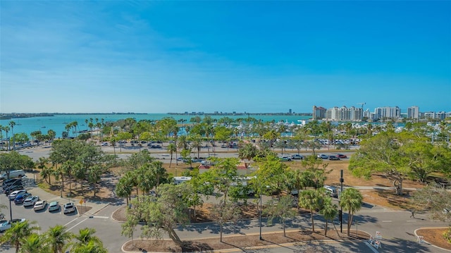 bird's eye view with a water view