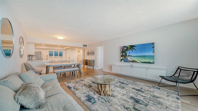 living room with light hardwood / wood-style floors