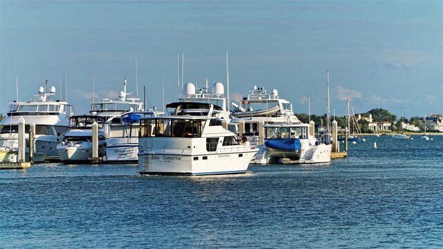 dock area with a water view