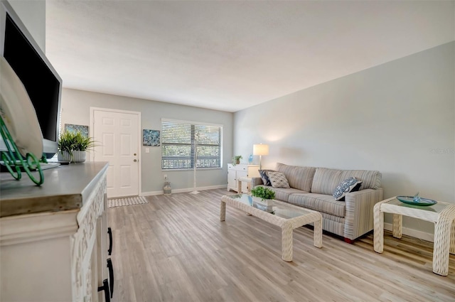 living room with light wood-type flooring