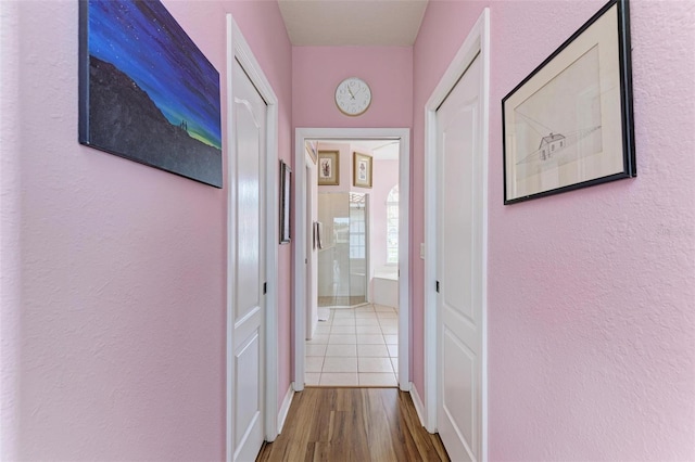 corridor with wood-type flooring