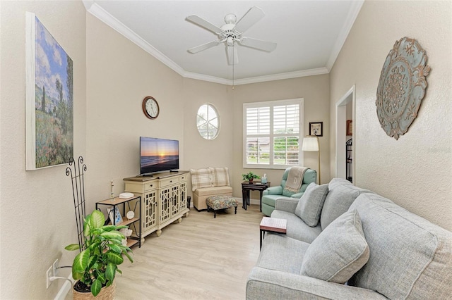 living room featuring ceiling fan, crown molding, and light hardwood / wood-style flooring