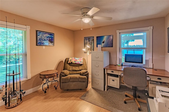 office featuring ceiling fan and light hardwood / wood-style floors