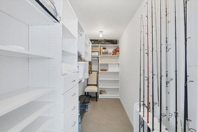 view of walk in closet