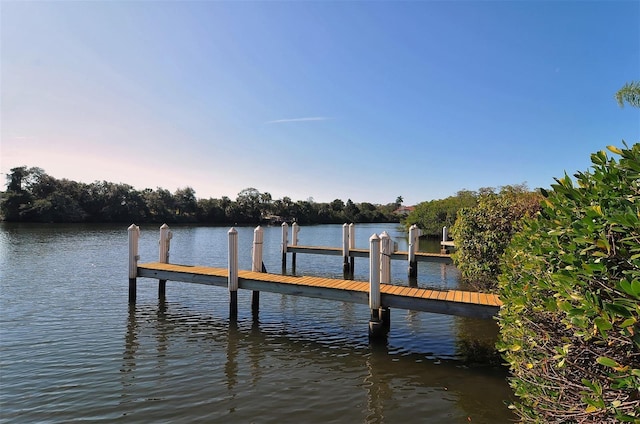 dock area with a water view