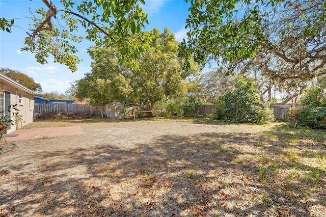 view of yard with a storage shed