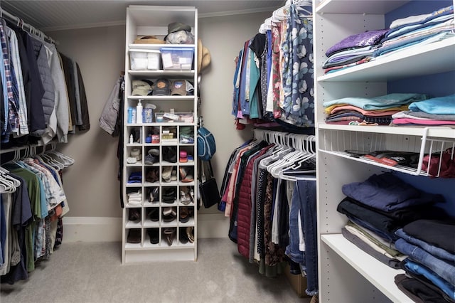 walk in closet with carpet