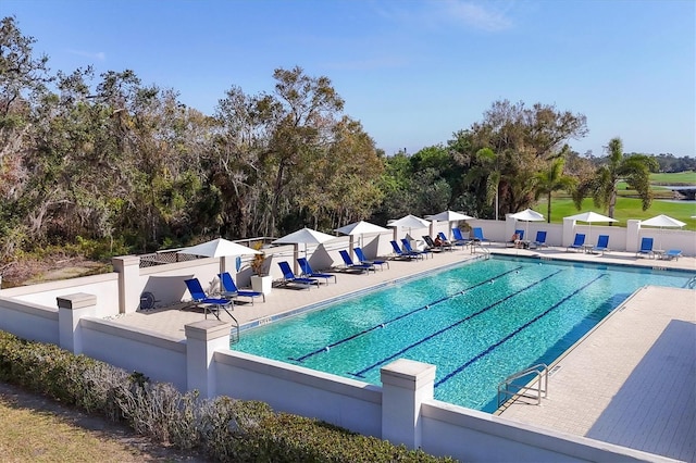 view of swimming pool featuring a patio