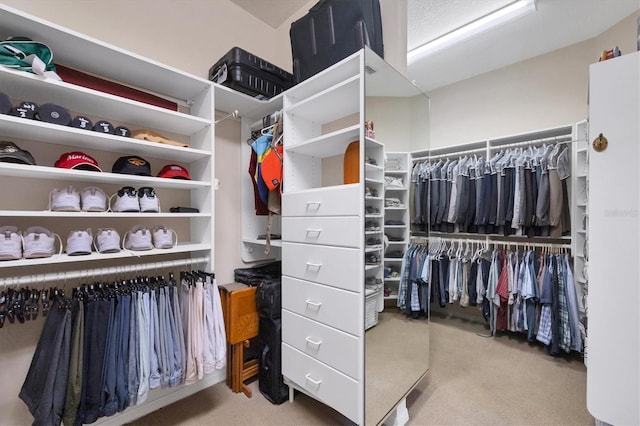 spacious closet featuring light colored carpet