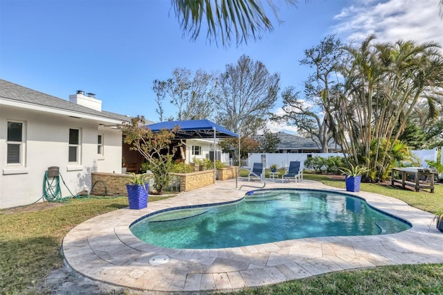 view of swimming pool with a patio