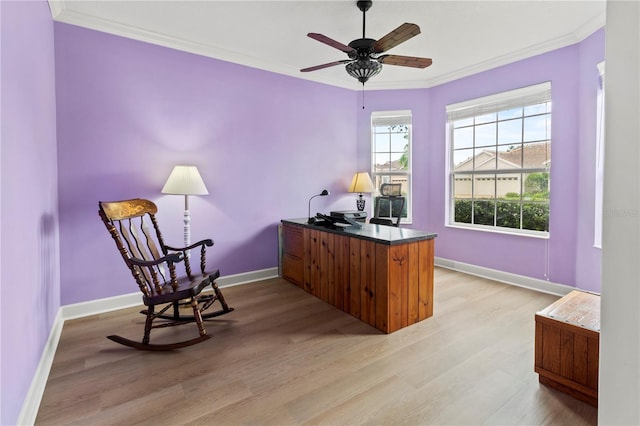 office area featuring ceiling fan, ornamental molding, and light hardwood / wood-style floors