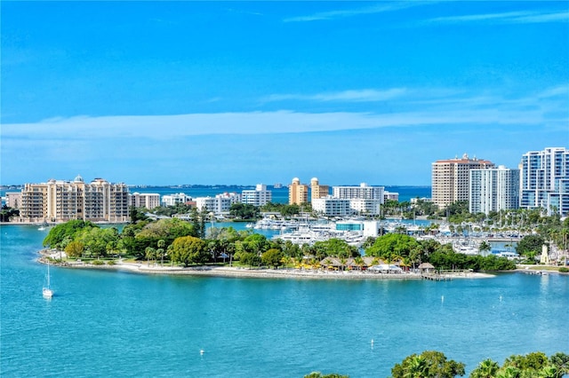 aerial view featuring a water view