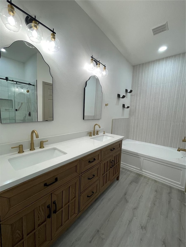 bathroom featuring wood-type flooring and vanity