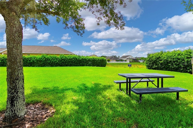 view of community featuring a yard