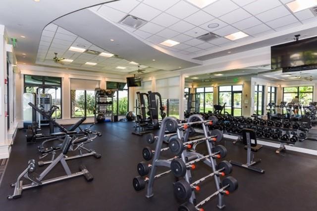 exercise room with a drop ceiling, ceiling fan, and a healthy amount of sunlight