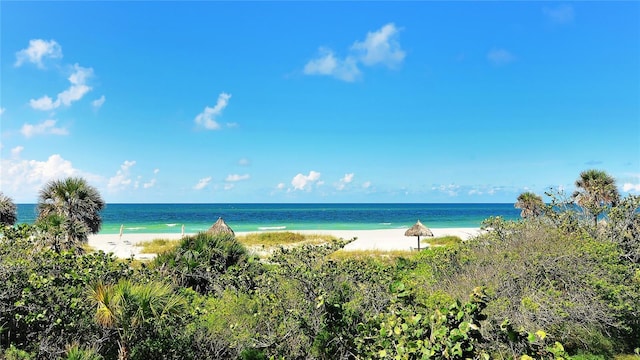 view of water feature with a beach view