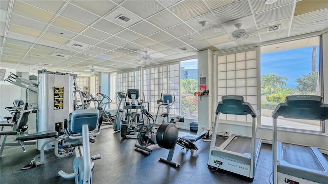 workout area with ceiling fan, a healthy amount of sunlight, and a paneled ceiling