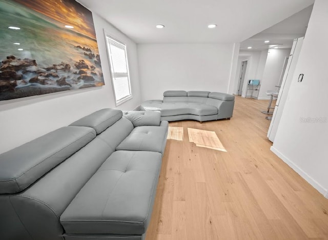 living room with light hardwood / wood-style floors