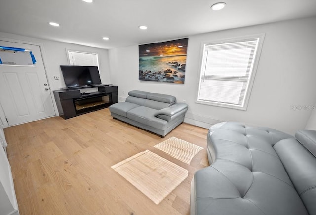 living room with hardwood / wood-style floors