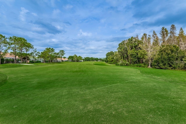 view of community featuring a yard