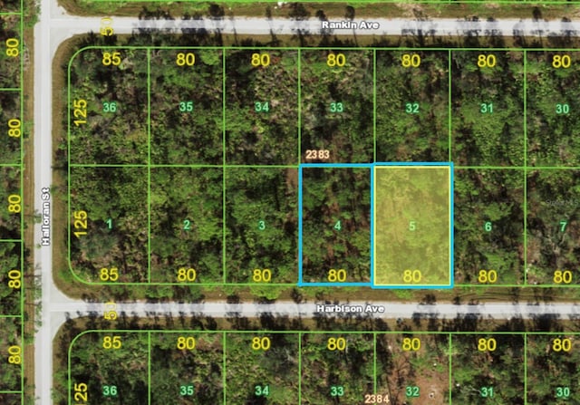 13092 Harbison Ave, Port Charlotte FL, 33953 land for sale