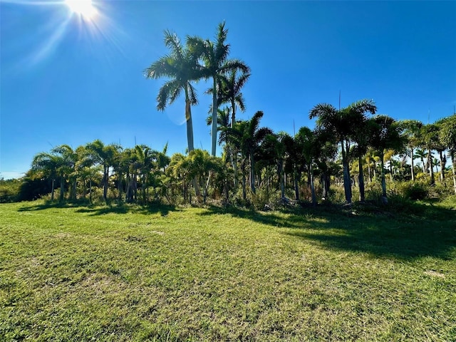 6100 Pinecrest Dr, Bokeelia, FL 33922 - photo 2