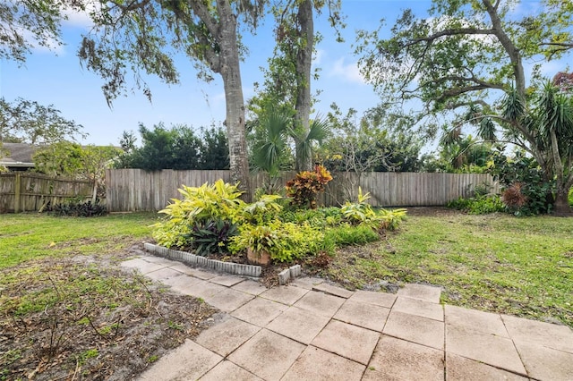 view of yard with a patio area