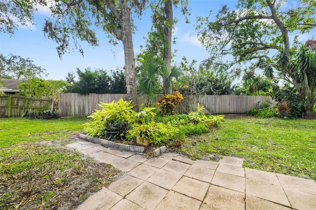 view of yard with a patio