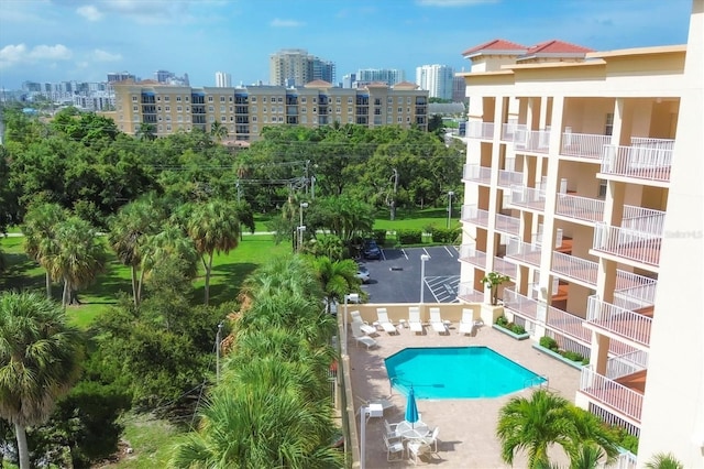 view of pool with a patio area