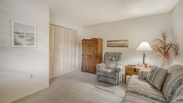 carpeted living room featuring a textured ceiling