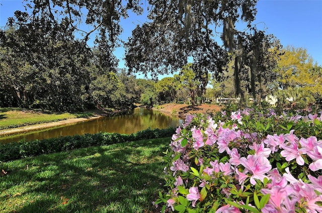 view of water feature