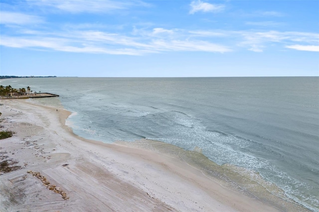 view of water feature with a beach view