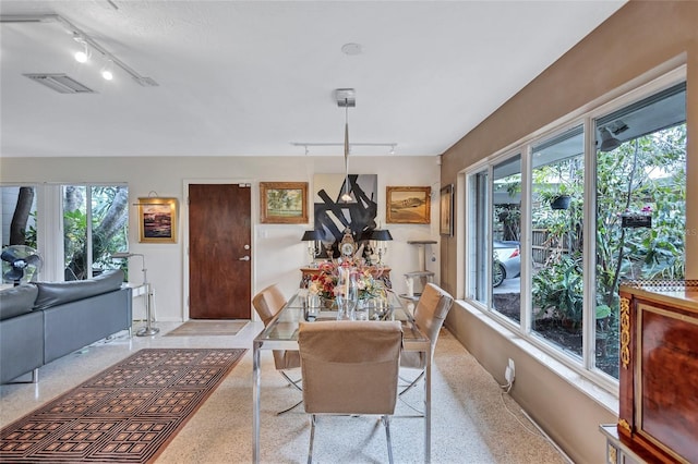 dining area with track lighting