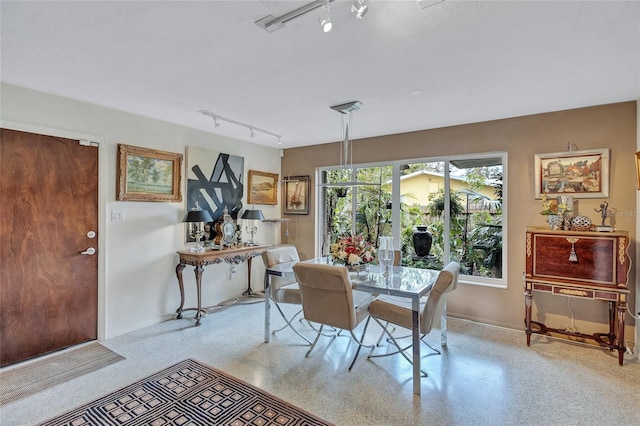 dining space with track lighting