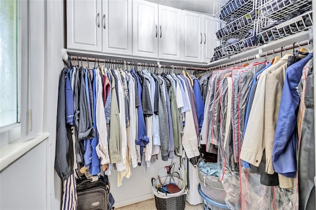 view of spacious closet