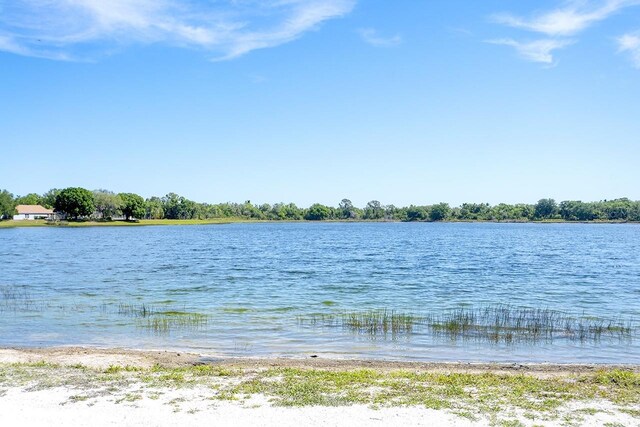 12732 Rockrose Gln, Lakewood Ranch, FL 34202 - photo 31