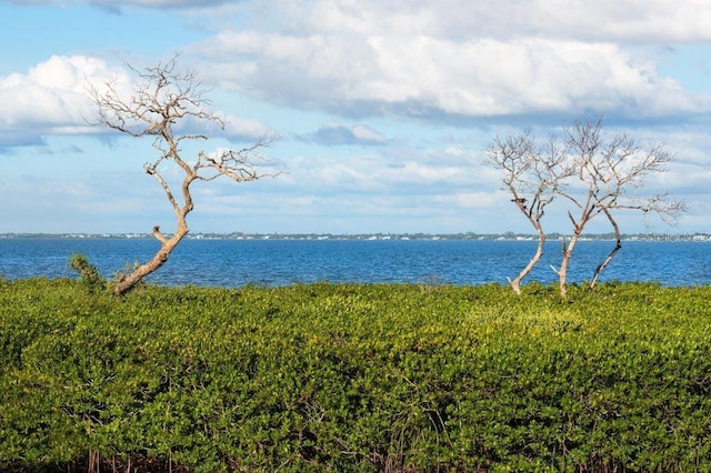 water view