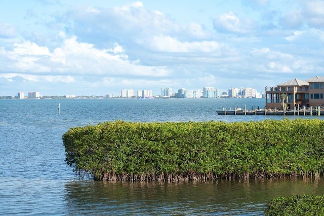 view of water feature