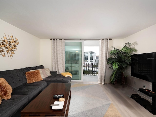 living room featuring floor to ceiling windows and light wood-type flooring