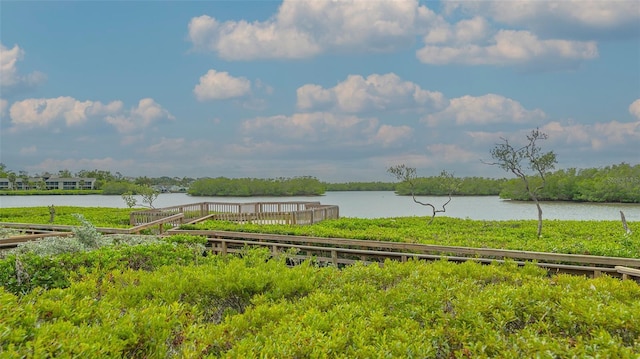 dock area with a water view