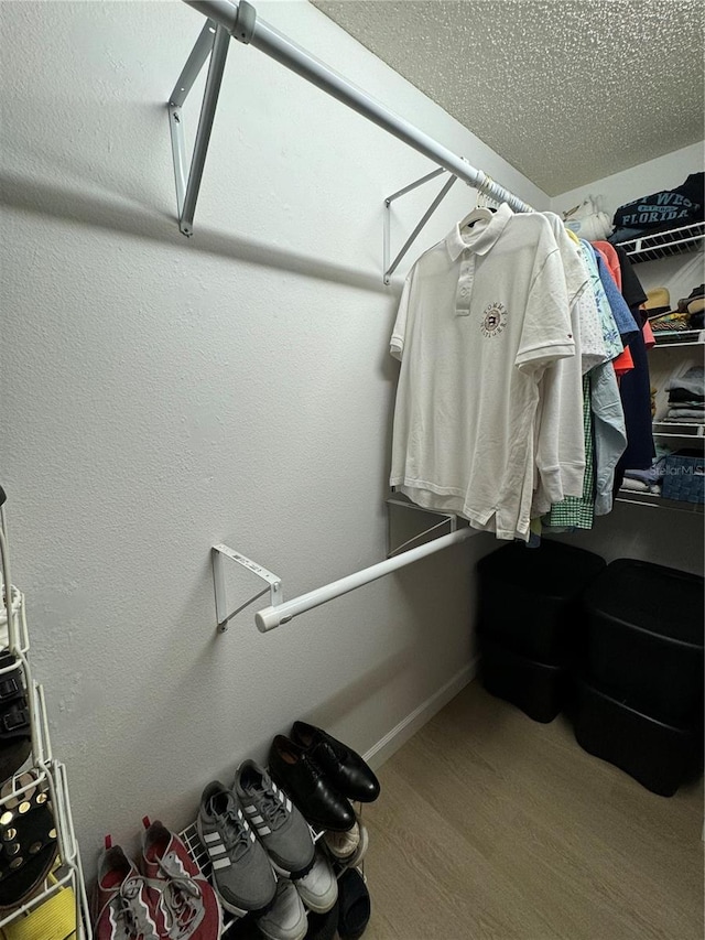 spacious closet featuring wood-type flooring