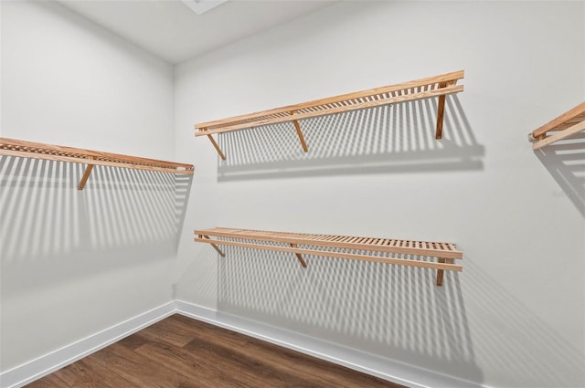 spacious closet featuring dark wood-type flooring