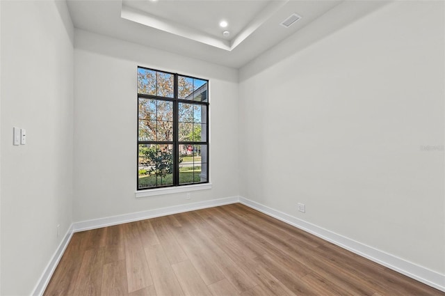 spare room featuring light wood-type flooring and a raised ceiling