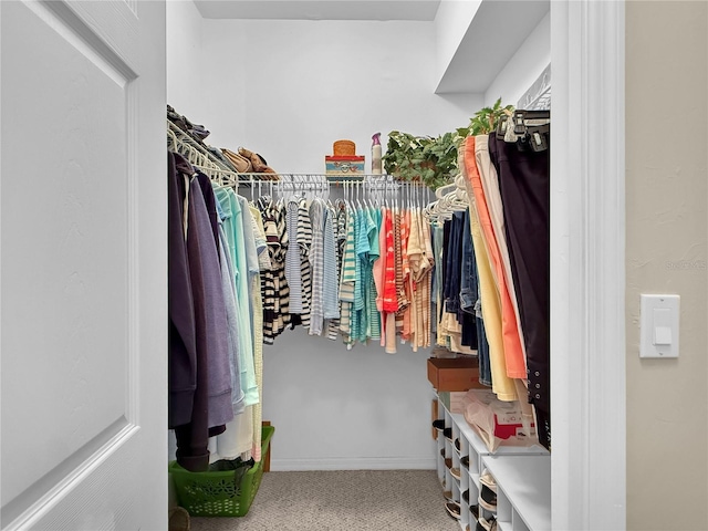 spacious closet with carpet floors