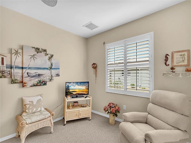 sitting room with carpet floors