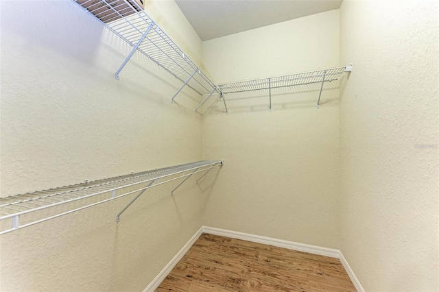 spacious closet with hardwood / wood-style floors