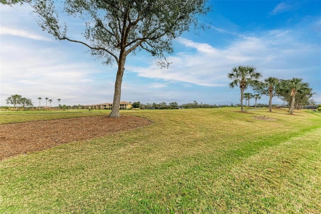 view of yard with a rural view