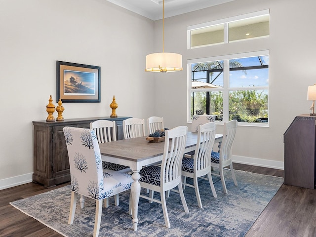 dining space with dark hardwood / wood-style floors