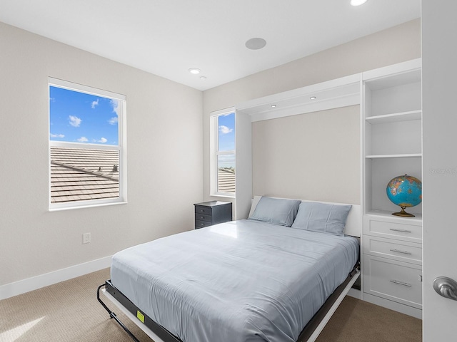 carpeted bedroom with multiple windows