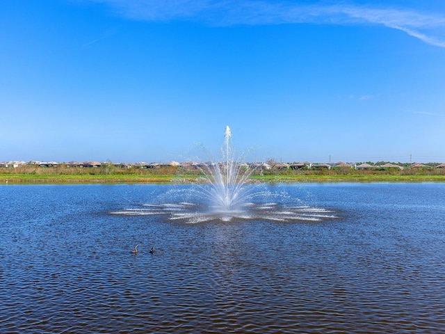 view of water feature